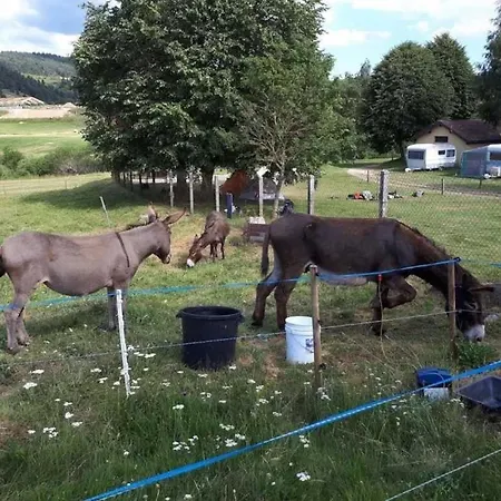 Campingplads Zecamping 3 Etoiles Piscine Chauffee Animaux Acceptes Mobil-home Bbq