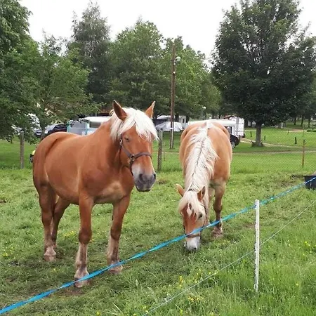 Kamp alanı Zecamping 3 Etoiles Piscine Chauffee Animaux Acceptes Mobil-home Bbq 3*