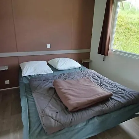 Zecamping 3 Etoiles Piscine Chauffee Animaux Acceptes Mobil-home Bbq