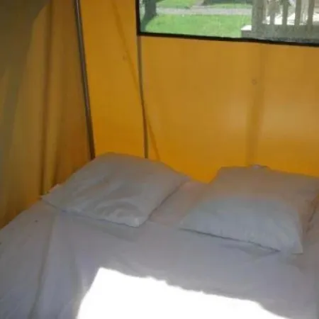 Kamp alanı Zecamping 3 Etoiles Piscine Chauffee Animaux Acceptes Mobil-home Bbq 3*