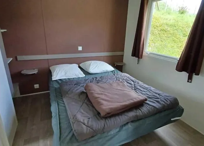 Kamp alanı 3 Etoiles - Piscine - Ccbadeg *