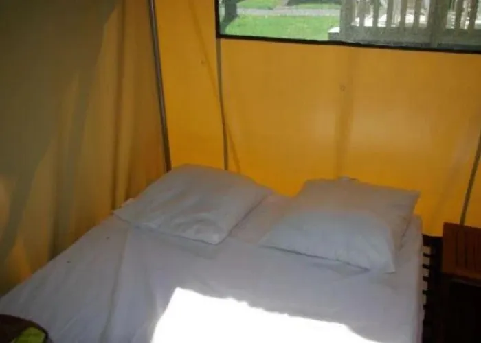 Kamp alanı 3 Etoiles - Piscine - Ccbadeg *